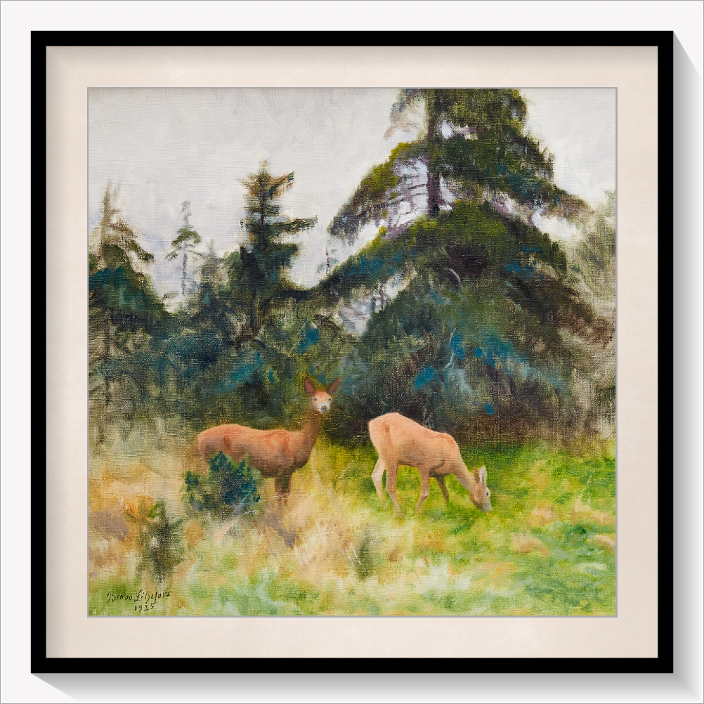 Roe Deer in Summer