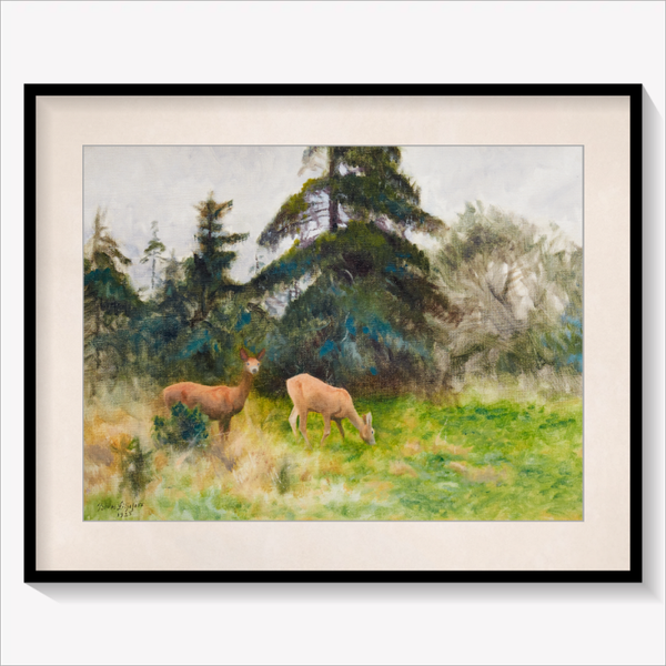 Roe Deer in Summer