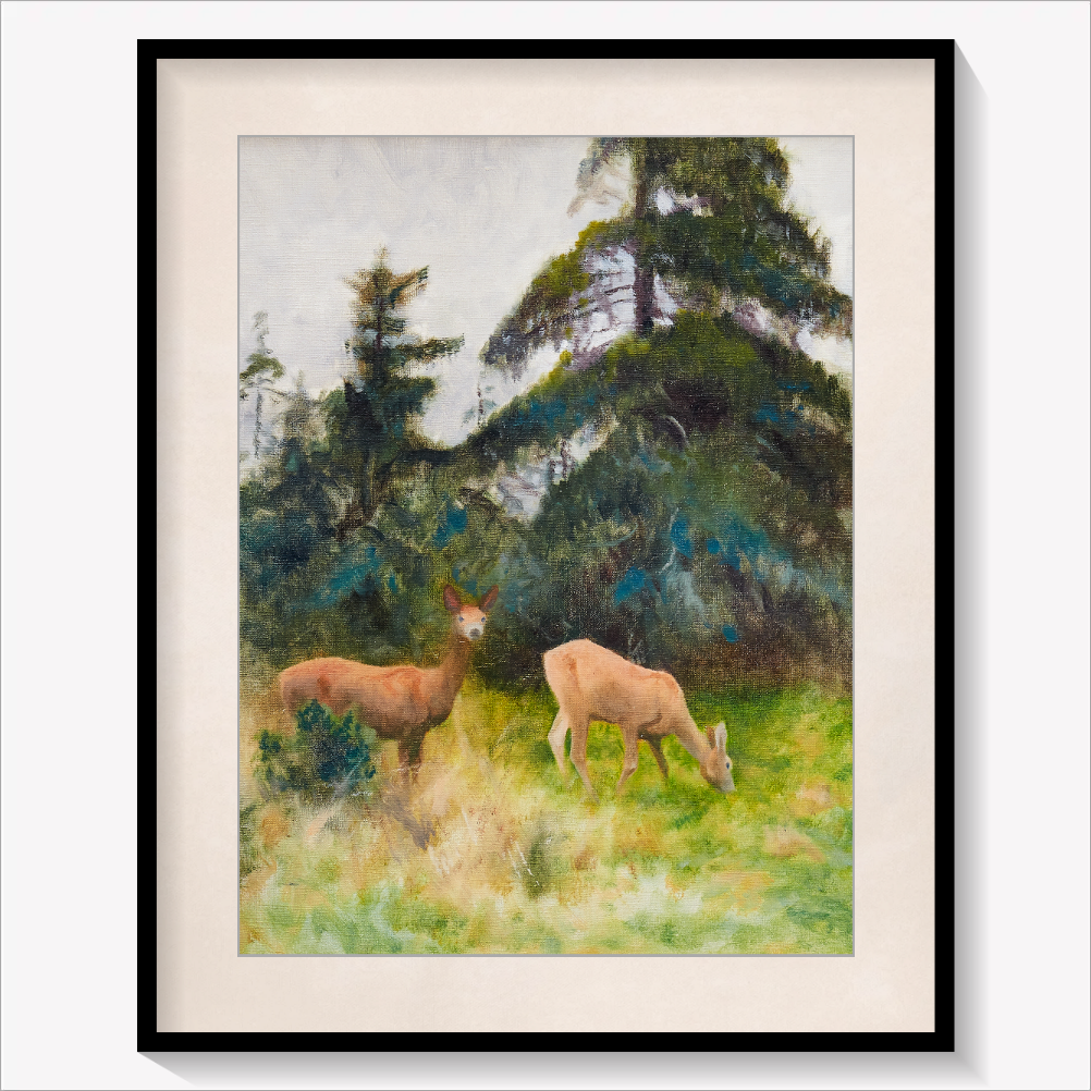 Roe Deer in Summer