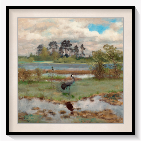 Cranes by the Water