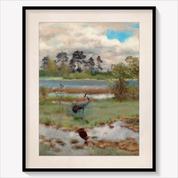 Cranes by the Water