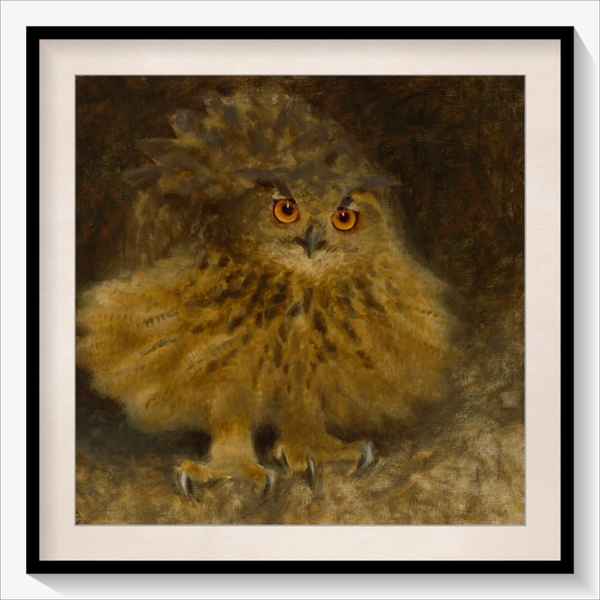 An Eagle Owl