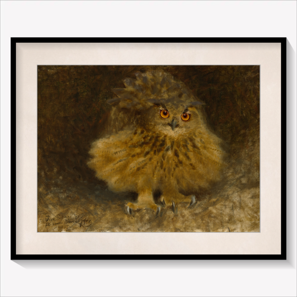 An Eagle Owl