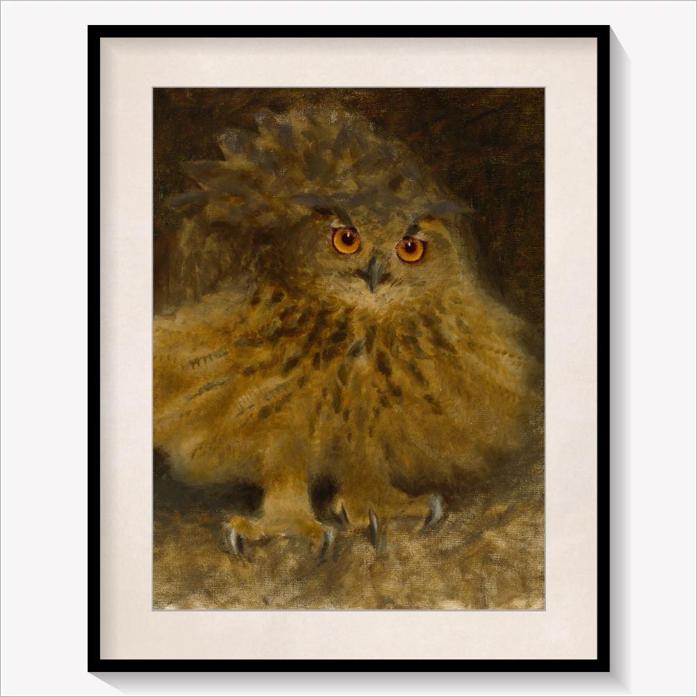 An Eagle Owl