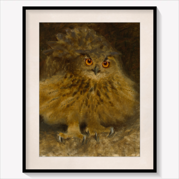 An Eagle Owl