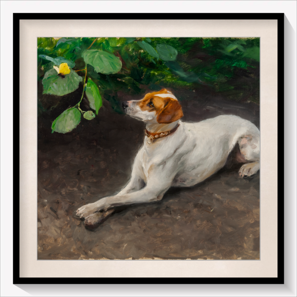 Portrait of a Dog