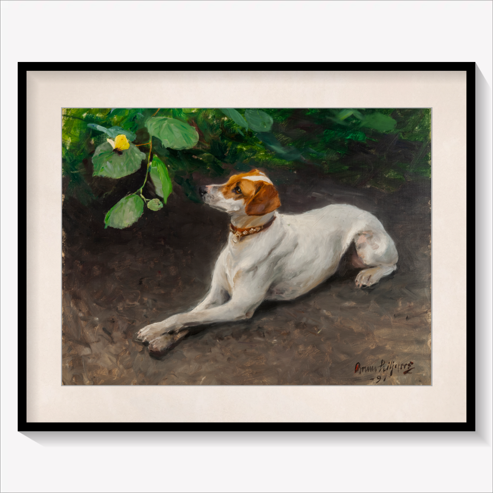 Portrait of a Dog