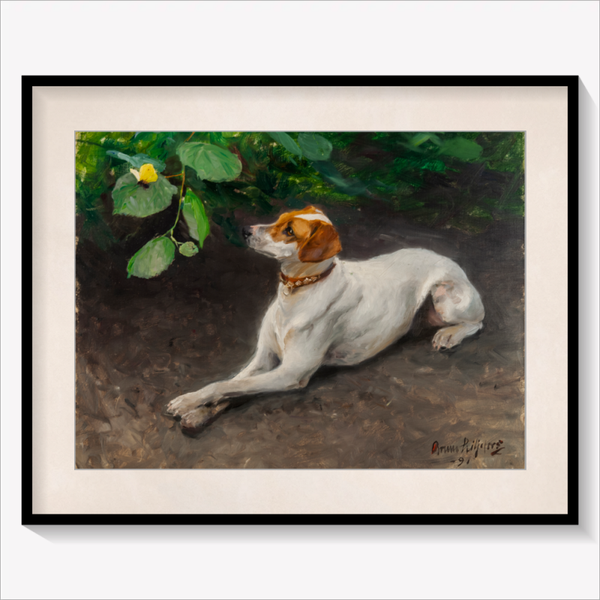 Portrait of a Dog