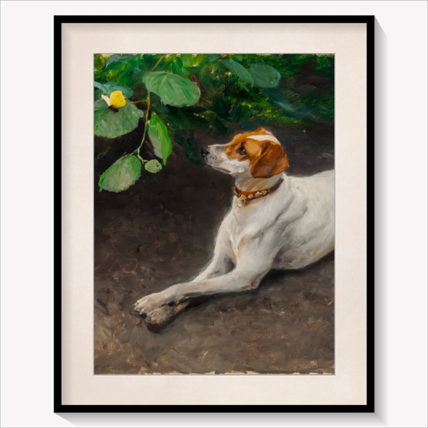 Portrait of a Dog