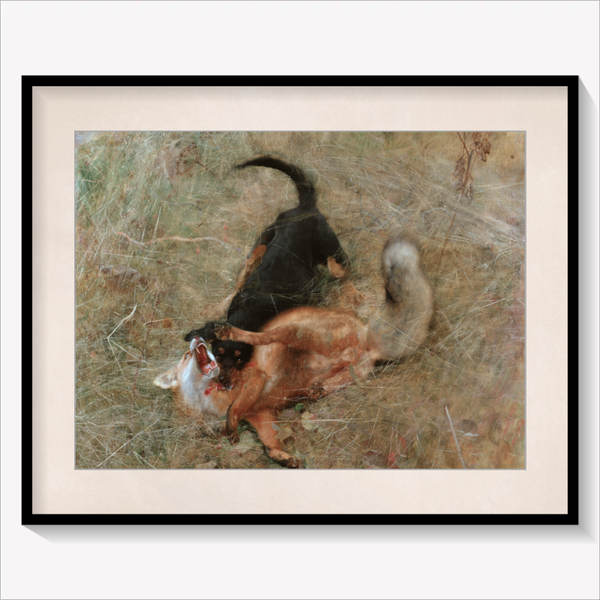 Swedish Foxhound