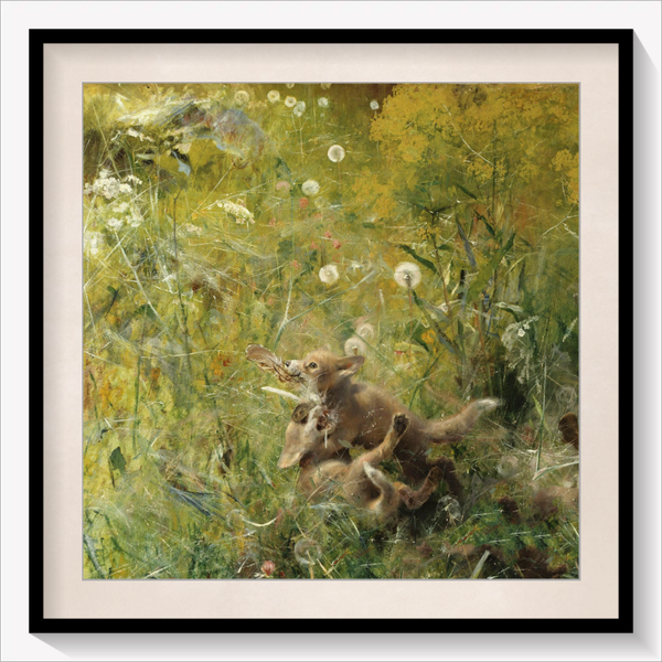 A Fox Family