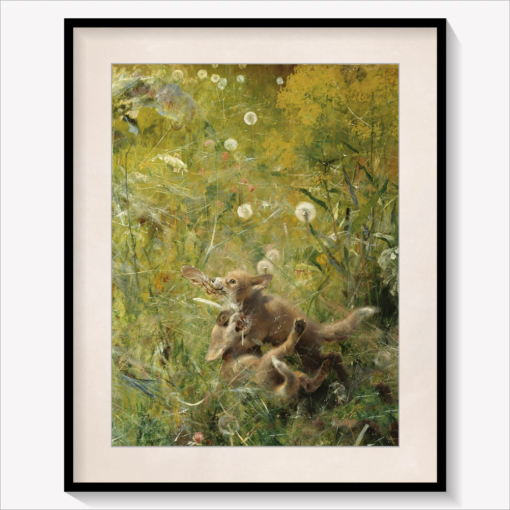 A Fox Family