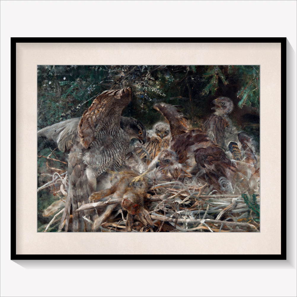 Hawk's Nest