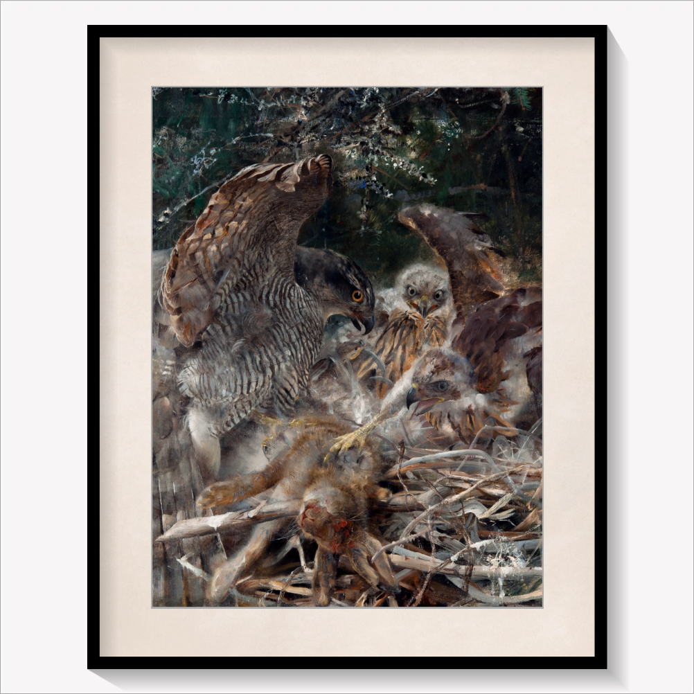 Hawk's Nest
