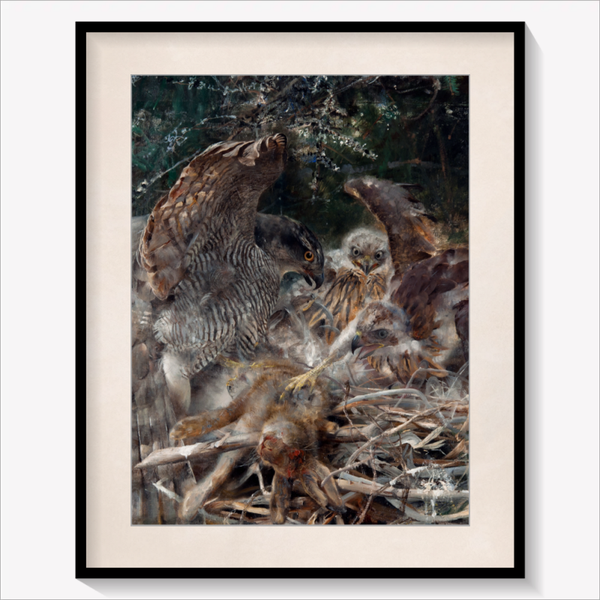 Hawk's Nest