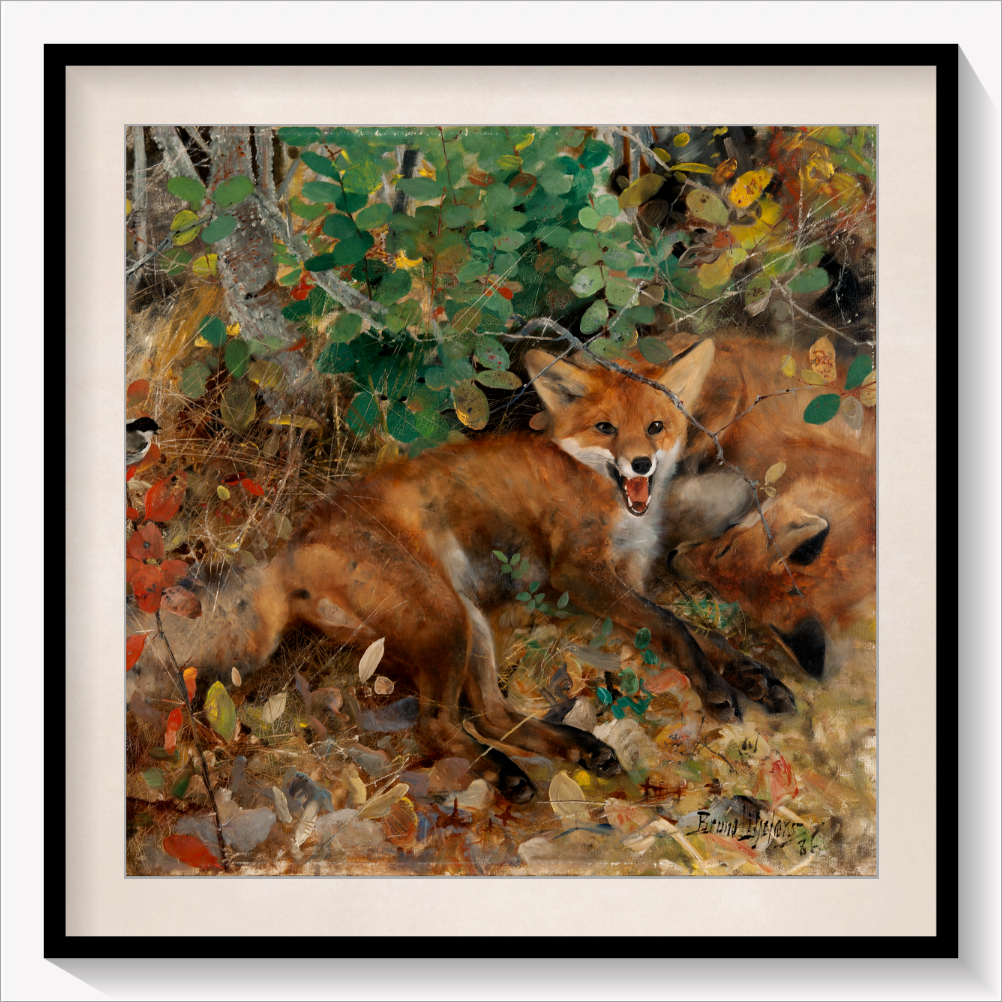 Foxes