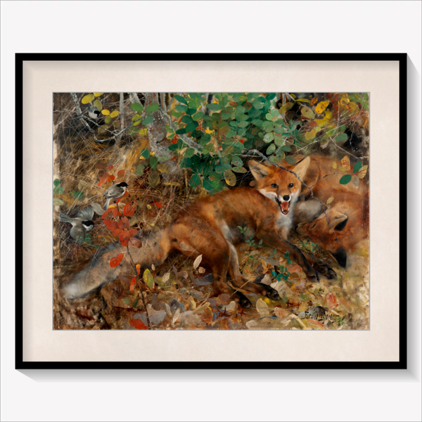 Foxes