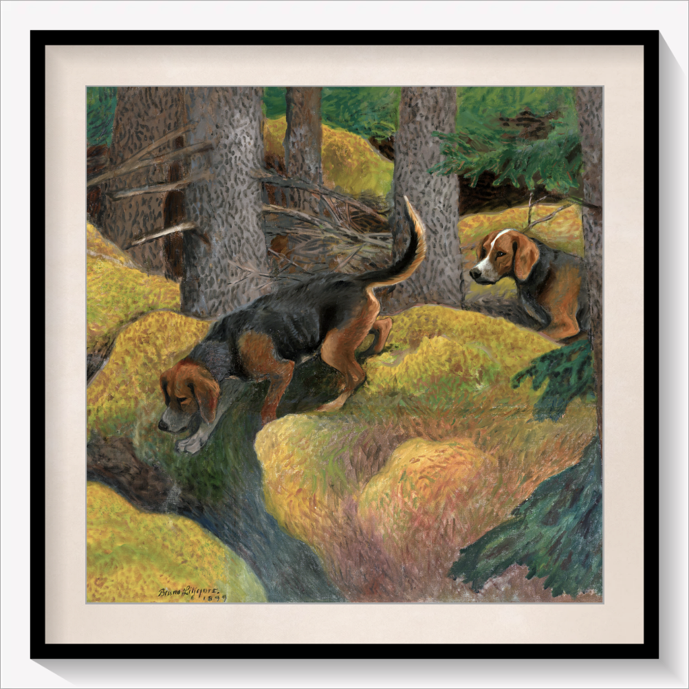 Hunting Dogs