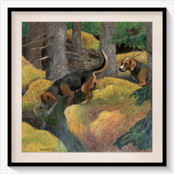 Hunting Dogs