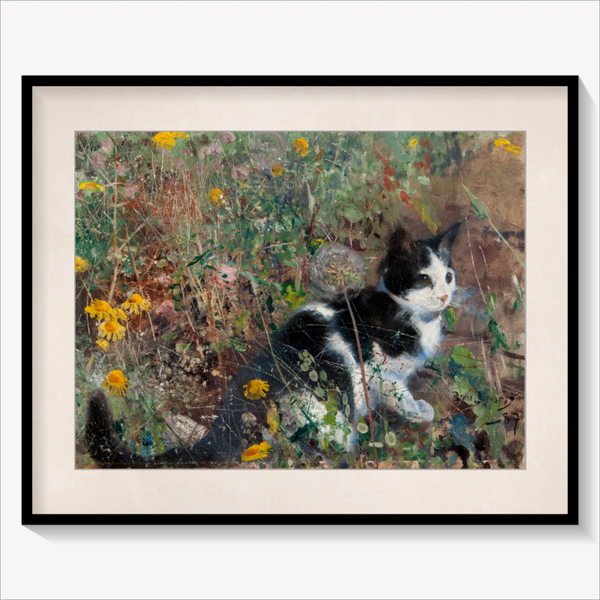 Cat on a Flowery Meadow
