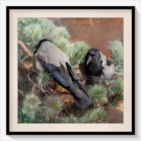 Crows