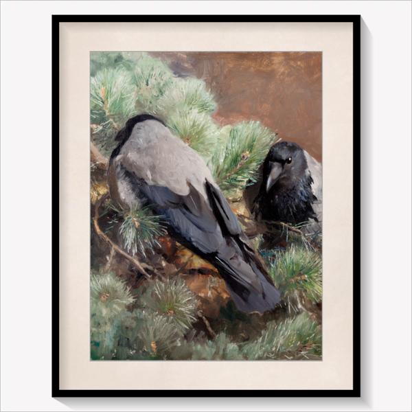 Crows