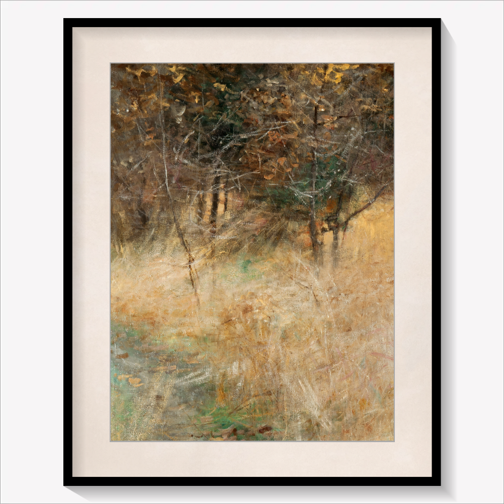 Forest Clearing