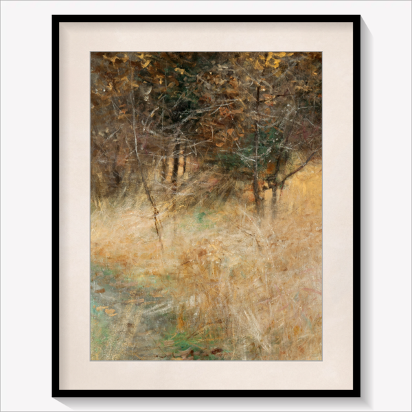 Forest Clearing