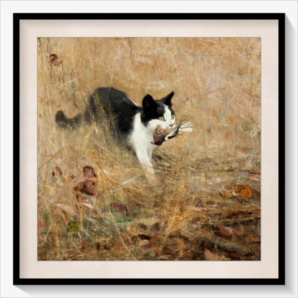 Cat hunting Birds