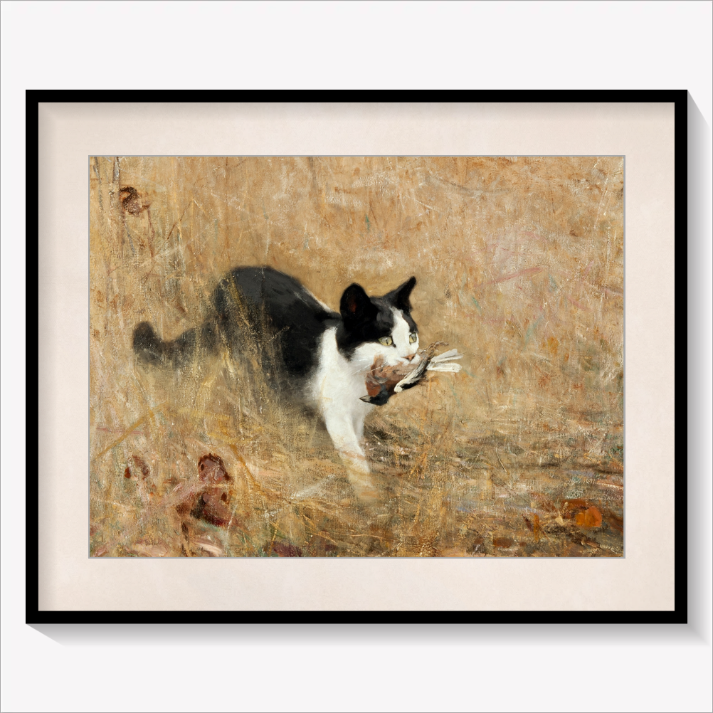 Cat hunting Birds