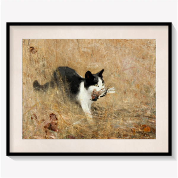 Cat hunting Birds