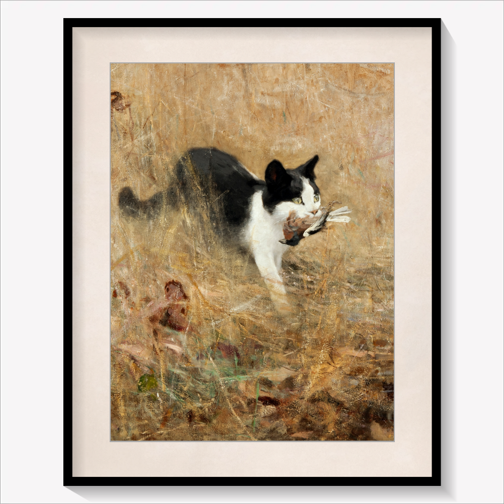 Cat hunting Birds