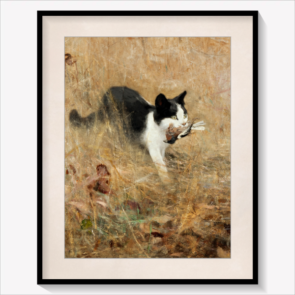Cat hunting Birds