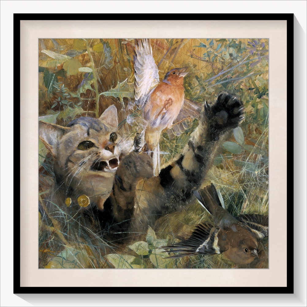A Cat and a Chaffinch