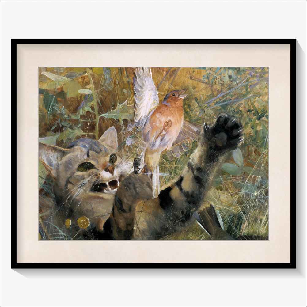 A Cat and a Chaffinch