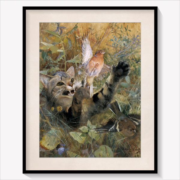 A Cat and a Chaffinch