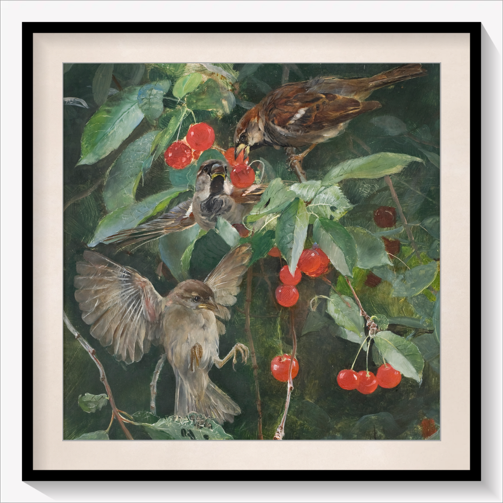 Sparrows in a Cherry Tree
