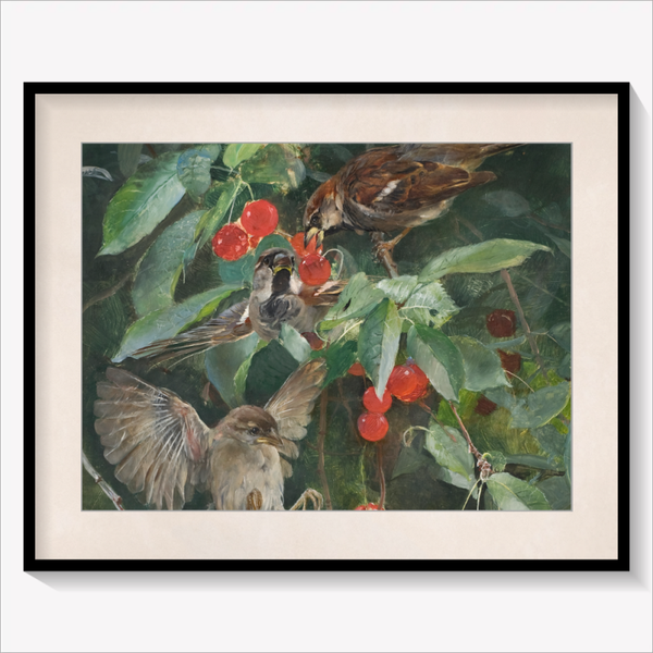 Sparrows in a Cherry Tree