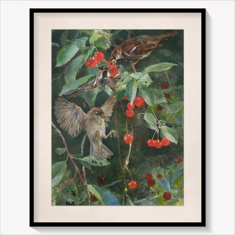 Sparrows in a Cherry Tree