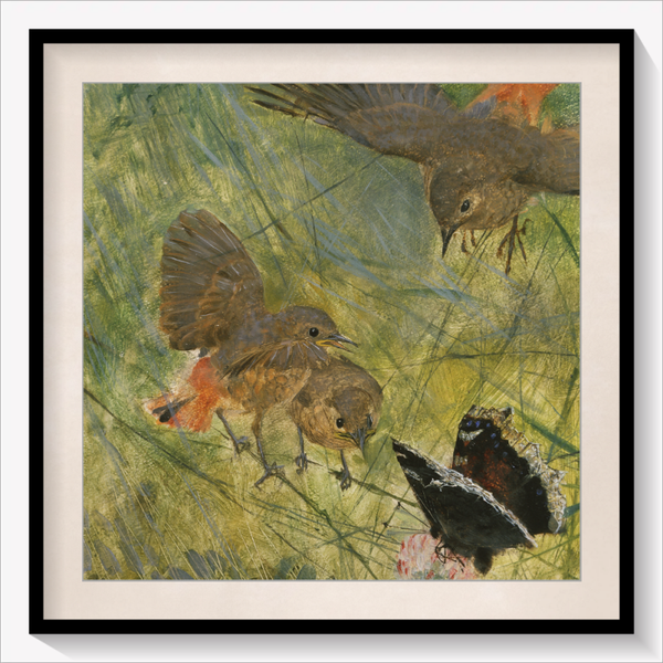 Redstarts and Butterflies