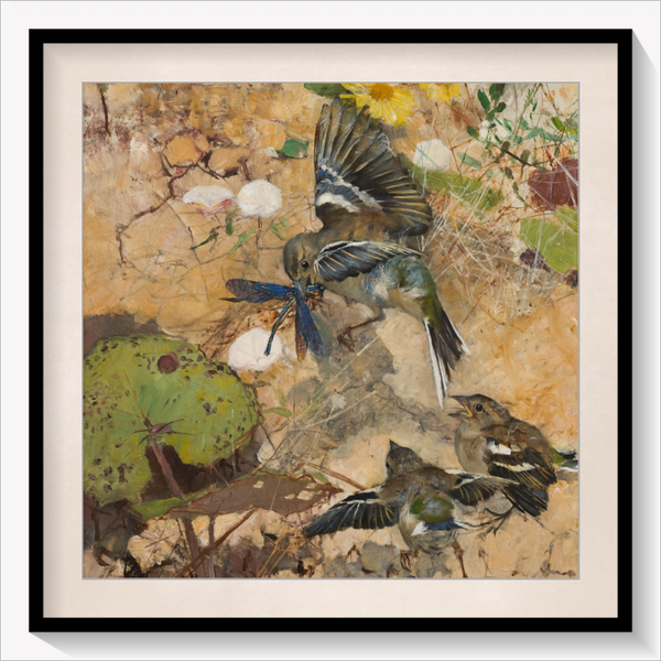 Chaffinches and Dragonflies