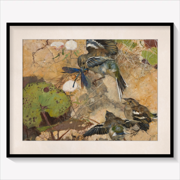 Chaffinches and Dragonflies