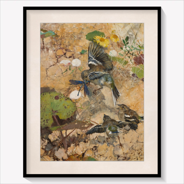 Chaffinches and Dragonflies