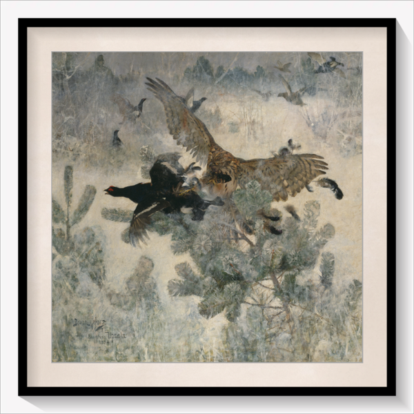 Hawk and Black-Game
