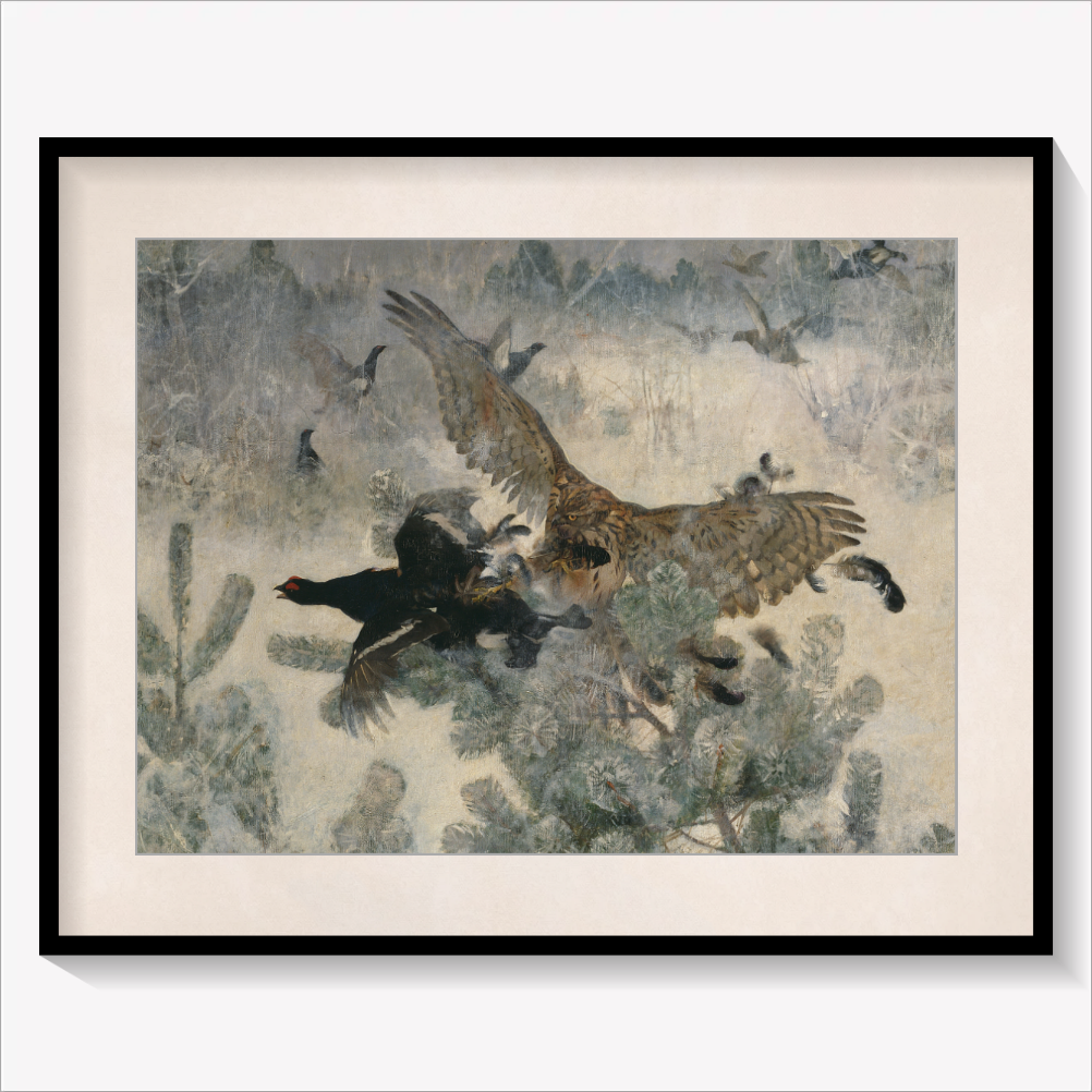Hawk and Black-Game