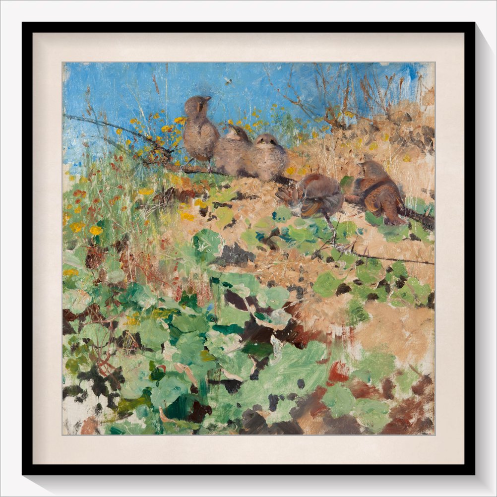 Nestlings