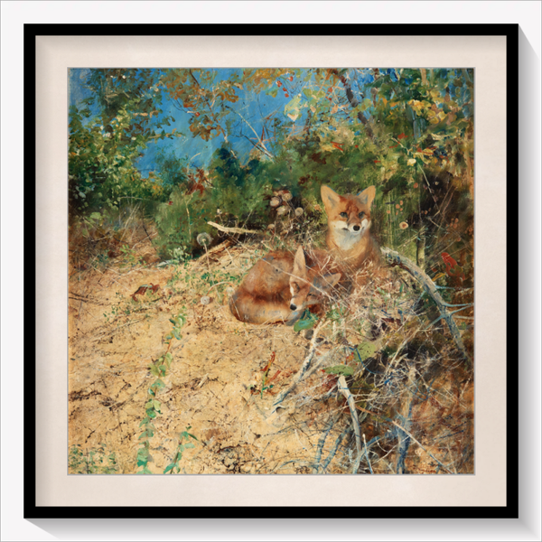 Little Foxes