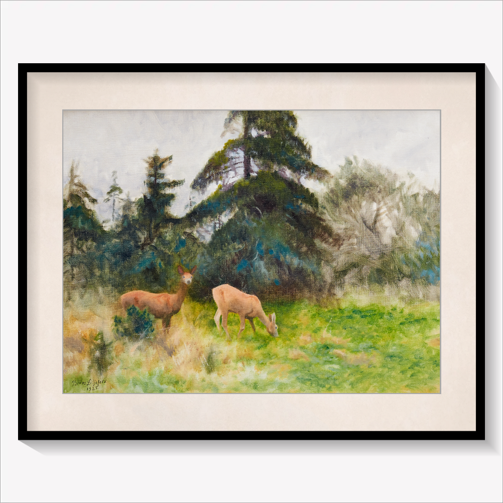 Roe Deer 1925
