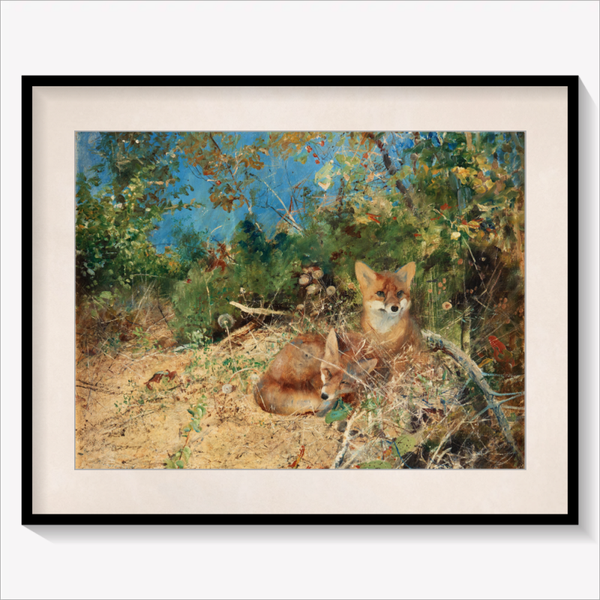 Little Foxes