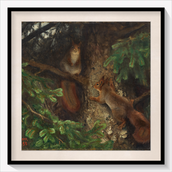 Two Squirrels 1898